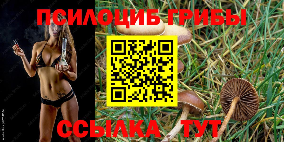 Галлюциногенные грибы MAGIC MUSHROOMS Златоуст
