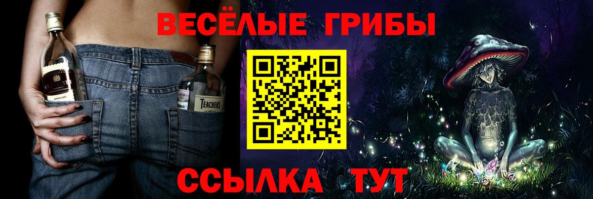 Златоуст  как найти   Вход с VPN  Псилоцибиновые грибы Psilocybine cubensis 