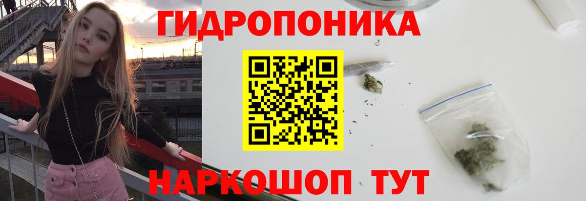 Бошки Шишки конопля  Бошки Шишки планчик  Златоуст  Вход с VPN 